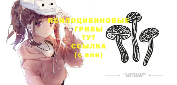 не бодяженный Алзамай