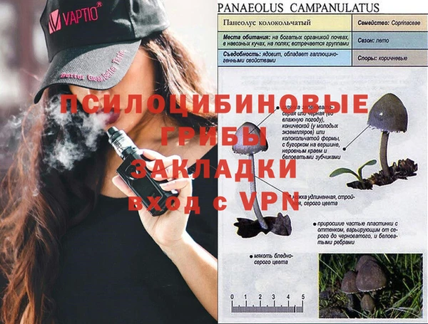 не бодяженный Алзамай